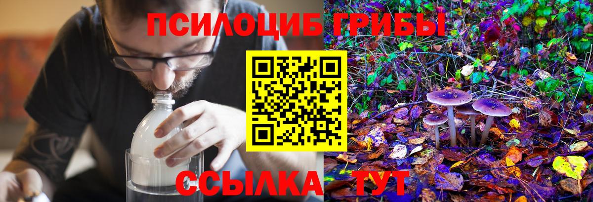 наркотики  Галлюциногенные грибы GOLDEN TEACHER  Галлюциногенные грибы мухоморы  Вход с VPN  Минеральные Воды 
